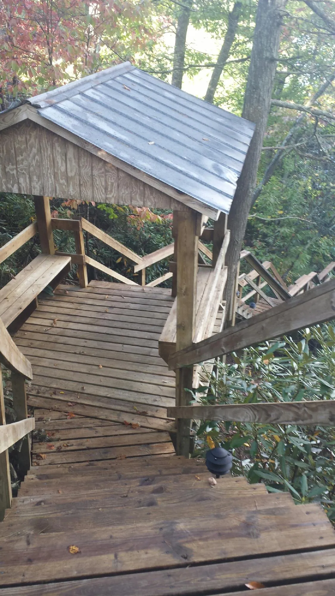 Metal roofed shelter over wooden steps on a wooded walkway — Skylight Repair & Installation work by our crew in Rives Junction